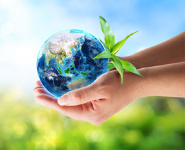 英国上市公司365优势 英国上市公司365优势